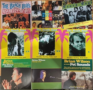 9タイトル13ディスクセット BEACH BOYS, BRIAN WILSON