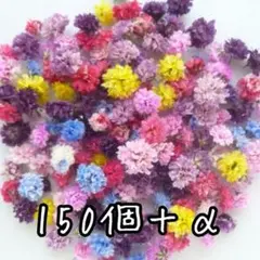 【訳あり】染色かすみ草♡（ 0219 ドライフラワー パーツ レジン 花材 )