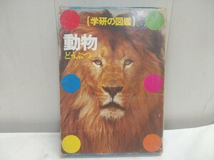 昭和レトロ!!　レターパックP／学研の図鑑【 動物 256ページ 19×26.5cm 】中古品 希少 昭和45年初版