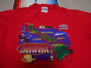 １９９０年代製 HANES BEEFY HAWAII KAUAI MAUI LANAI MOLOKAI へインズ ビンテージ Tシャツ サーフィン ハワイ熱帯魚イルカ ヨット カヌー