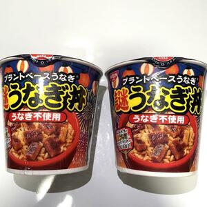 【2個】日清 カップメシ 謎うなぎ丼 発売地域 期間限定 謎肉シリーズ ニッシン