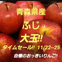 ★期間限定★青森県産 ふじ りんご 大玉 6~8玉 ③