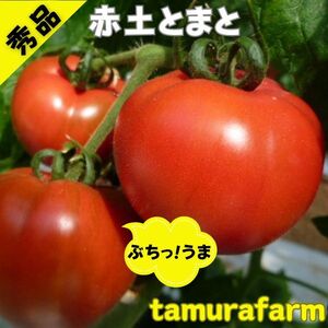 秀品 2Sサイズ（28-30玉) 赤土とまと トマト ２ｋｇ 大玉トマト 大玉とまと 高糖度 トマト 旨味 とまと ミネラル成分 プレミアム トマト