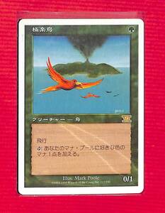 ＭTG《マジックザギャザリング》日本語/極楽鳥/第六版　レア