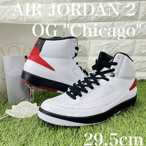 ナイキ エアジョーダン2 RETRO シカゴ Nike Air Jordan 2 RETRO Chicago メンズスニーカー 白黒赤 29.5cm DX2454-106