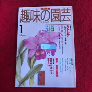 g-683 NHK 趣味の園芸 1998年1月号 日本放送協会 特集:季節の花 カトレア エラチオール・ベゴニア ピラカンサ 他 ガーデニング 園芸 ※4 