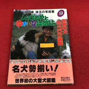 e-057 ムツゴロウとゆかいな仲間たち9 世界の犬ムツゴロウ図鑑 珠玉の写真集 畑正憲 著 1989年7月10日初版発行 名犬150種紹介 解説 ※6 