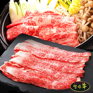 黒毛和牛 カルビ 500g 牛肉 宮崎牛 A4ランク以上 A4等級 牛カルビ スライス 冷凍 霜ふり 霜降り 焼肉 脂身 多い 焼きしゃぶ すき焼き 牛丼