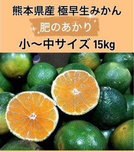 【送料無料◎1スタ!】熊本県産 極早生みかん 「肥のあかり」 小〜中サイズ 箱込約15kg 家庭用