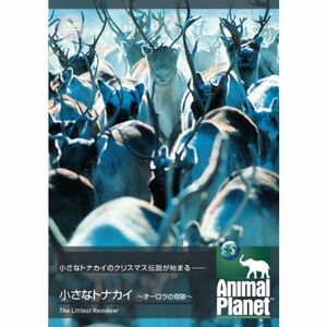 アニマル・プラネット 小さなトナカイ ~オーロラの奇跡~ DVD