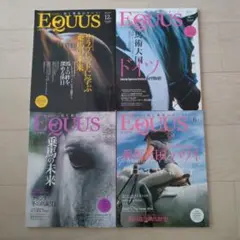 Equus 2013年12月号 No.28〜No.31　20計４冊