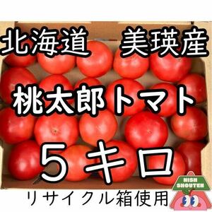 北海道美瑛産 フレッシュ&ジューシー！訳あり桃太郎トマト 5キロ