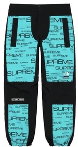 【新品】Supreme/The North Face Steep Tech Pant COLOR/STYLE：Teal SIZE：Small