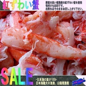 3箱、紅ずわい蟹「精棒500g」．．．日本海の旨さ100%！！ 山陰境港産