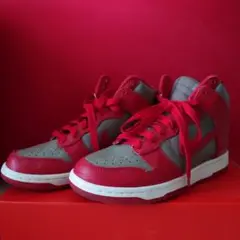 【NIKE】 WMNS DUNK RETRO QS