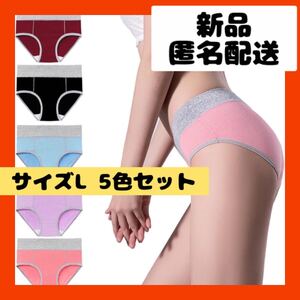 【即購入可】ショーツ　下着　パンツ　レディース　薄手　オールシーズン　シンプル