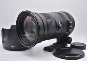 ★極上美品★ シグマ SIGMA DG 50-500mm F4.5-6.3 APO HSM OS ニコン用　Y1785＃5604