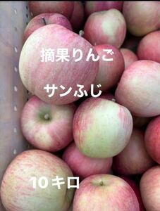 摘果りんご　サンふじ　加工用　10キロ　葉とらずりんご