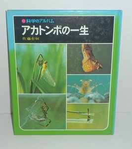 水生昆虫1971『アカトンボの一生／科学のアルバム10』 佐藤有恒 著