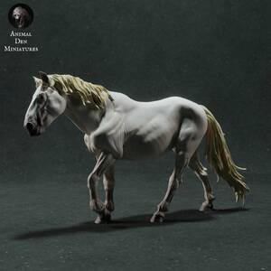 Animal Den Anml-221101 Camargue Horse 1/24 3Dプリント ミニチュア D＆D TRPG アニマルフィギュア