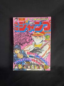 【週刊少年ジャンプ 】1976年 昭和51年2月23日号 サーキットの狼 ドーベルマン刑事 ど根性ガエル等 当時物