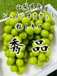 山梨県産　シャインマスカット　秀品　朝採り直送