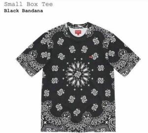 シュプリーム スモール ボックスロゴ　バンダナTシャツ　ペイズリー　サイズL Supreme Small Box Tee Black Bandana 21ss 名作