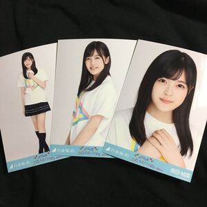 柴田柚菜【ライブT 福岡】3種 3枚 乃木坂46 コンプ 生写真 ランダム 会場 乃木坂46 真夏の全国ツアー2019 ヤフオクドーム Tシャツ