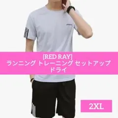 週末値下げ【RED RAY】ランニング トレーニング セットアップ ドライ