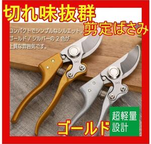 再入荷 剪定ばさみ はさみ ハサミ 強力 庭hx ガーデン 園芸 枝切り 金色　1