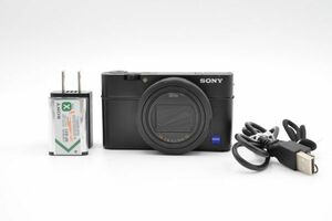 ■美品■ SONY DSC-RX100M6 ソニー ボディ ブラック 黒