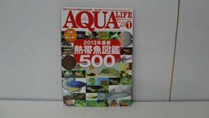 月刊アクアライフ 2013年1月