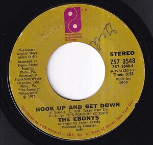 The Ebonys - Hook Up And Get Down / Life In The Country (C) SF-Q316