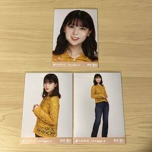 乃木坂46 岩本蓮加 生写真　2020August-Ⅱ かぎ針編み　コンプ