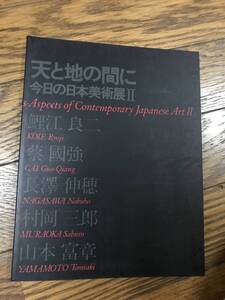 天と地の間に　図録　鯉江良二他