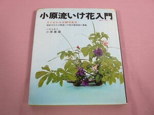 『 小原流いけ花入門 すぐわかる分解写真式 』 小原豊雲 講談社