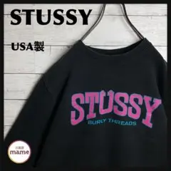 【激レア‼︎】【USA製】STUSSY☆アーチロゴ スウェット A739