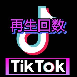 【1000 Tiktok 再生回数 増加できるツール】ユーチューブ フォロワー いいね 再生数 チャンネル登録者 Instagramフォロワー ティックトック