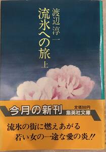流氷への旅 上 渡辺淳一