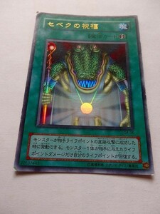 遊戯王カード ◆ セベクの祝福 ◆ 魔 ◆ 金文字 　◆　中古