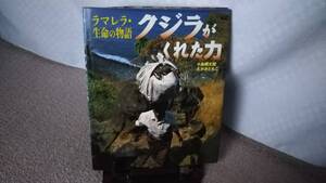 【送料無料／匿名配送】『クジラがくれた力～ラマレラ・生命の物語』小島曠太郎/えがみともこ/ポプラ社/////初版