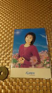 KAMPO 酒井法子