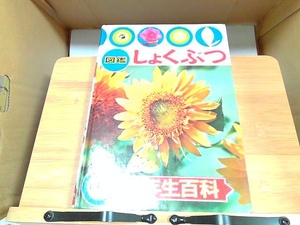 図鑑しょくぶつ　講談社　一年生百科　外箱なし・ヤケシミ印有 1975年2月18日 発行