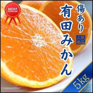 みかん 果物屋が本気で選んだ有田みかん 5㎏ 産地直送 蜜柑 濃厚 甘い 高糖度 和歌山 甘い 高糖度 超濃厚 魅惑 売り切れご免 送料別1