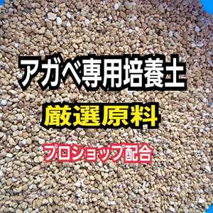 アガベ　専用培養土【10L】プロショップが原料にこだわり抜群の配合で完成させた特選品　これ1つあればバッチリ育成OKです！多肉植物全般に