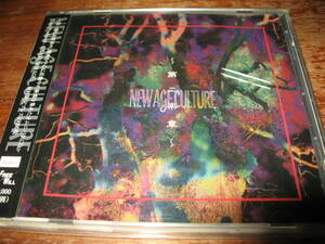 ＜ヴィジュアルハード系オムニバスNEW AGE CULTURE第二楽章/BUZZ DEVIL/VELLADONNA/VULGARIZE/ZACRO/地獄絵