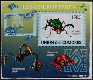 「TE159」コモロ諸島切手　2009年　昆虫