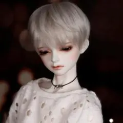 ドールウィッグ 6〜7インチ シルバー ショートヘア ボブ SD BJD 銀髪