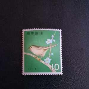 鳥シリーズ うぐいす 1963 