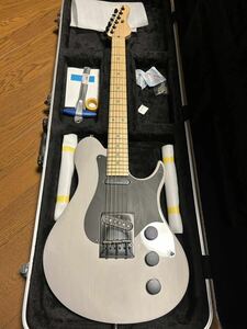 WALTZ GUITARS Neocaster Knox テレキャスター